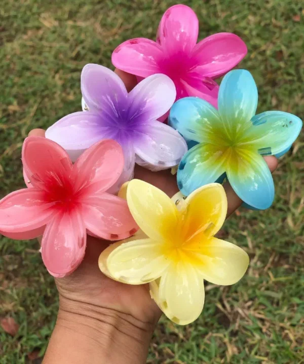WhatsApp-Image-2025-02-26-at-8.17.51-PM Caiman Flor