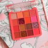 Paleta de Sombras Watermelon x 16 Tonos – Paulis