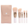 Kit Brochas Cristal X 5 Trendy
